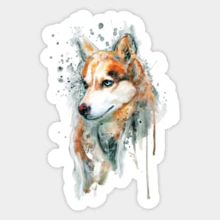 Watercolor Portrait of Red Siberian Husky Sticker